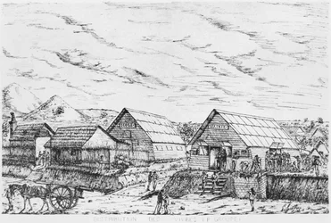 Album van het Isle of Pines, distributie van voorraden, 1878-79