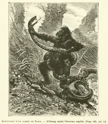 Avonturen van een Parijse jongen