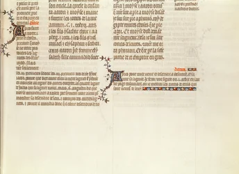Onderkant van een pagina zonder miniatuur, uit De Bijbel van Jean de Sy, ca.1355