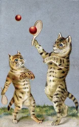 Katten die tennis spelen - ansichtkaart begin 20e eeuw