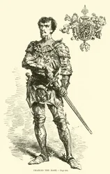 Karel de Stoute