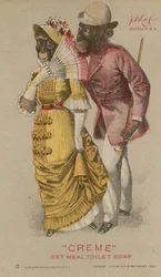 Chimpansees in modieuze kleding