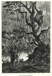 In Deze Hemelse Tuin