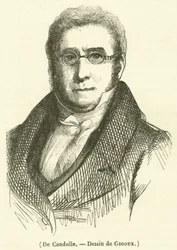 De Candolle (gravure)