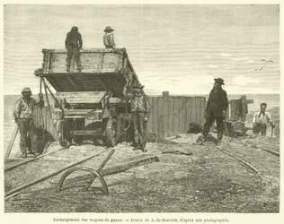 Lossen van guanowagens (gravure)