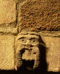 Gesneden gezicht