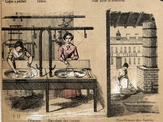 Beschrijving van de teelt en zijden producten: arbeiders die zijde spinnen, cocons verwijderen of verstikken. Plaat "la soie" in "les Recreations instructives" Synoptisch schilderij door Jules Delbruck, gravure uit 1860. Privécollectie.