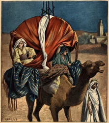 Dromedaris als transportmiddel. Tunesië, Afrika