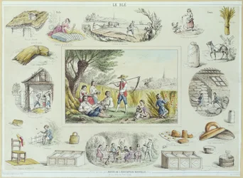 Educatieve illustratie van maïs, ca.1860-70