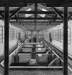 Viskwekerij: de gekweekte vijvers van jonge vis in Huningue, Haut Rhin (68)