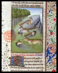 Vossen, uit het Livre de la Chasse door Gaston Phebus
