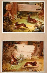 Hazen en Konijnen, ca. 1890