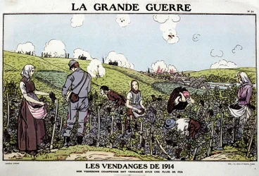 Oogst van 1914