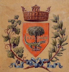 Heraldische wapens van de stad Nîmes