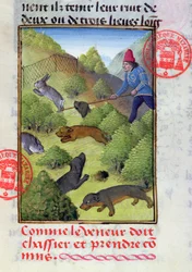 Konijnen jagen met honden en netten, uit het Livre de la Chasse door Gaston Phebus