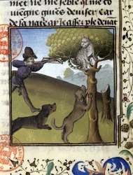 Jachtscène met een lynx - in 