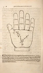 Illustratie uit Chiromantia door Joannes Indagioe, Straatsburg, 1531