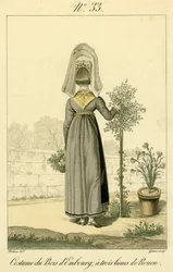 Illustratie nr. 33, Kostuum van Bois d
