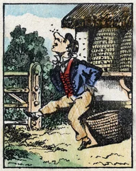 Illustratie van het verhaal 