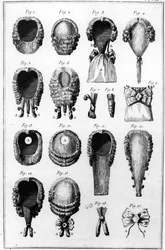 Illustraties van verschillende pruikmodellen, plaat VII, vol.8, uit Encyclopedie des Sciences et Metiers door Diderot, gepubliceerd c.1770