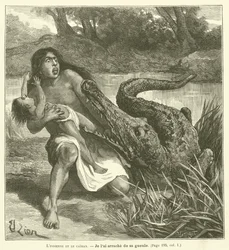 De Indiaan en de kaaiman