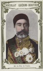 De Bey van Tunis