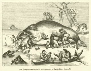 Grote vissen eten kleine vissen (vetmesten)