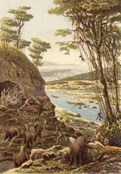 De eerste tijdperken van de mensheid, tijdperk van de holenbeer