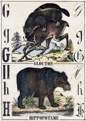 Letter G Veelvraat; H Nijlpaard. Gravure in 