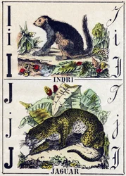 Letter I Indri (Lemurien); J Jaguar. Gravure in "Alphabet des animaux sauvages". 9e Serie. Beeldverhaal van Epinal, Pellerin, drukker-uitgever, circa 1870. Gravures op hout, gestencild. 16 pagina