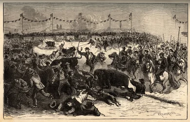 Veemerk - La ferrade en Camargue (feest georganiseerd tijdens het brandmerken van vee) - gravure in 