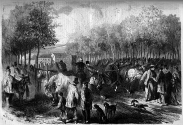 Paardenmarkt van Parijs