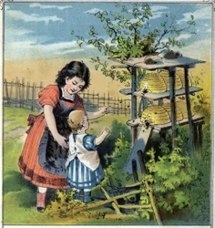 Martha toont het werk van de bijen in de bijenkorf aan haar kleine zusje. Chromolithografie uit 