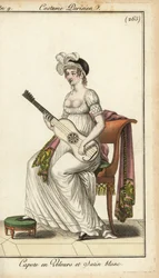 Merveilleuse die gitaar speelt