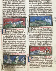 Ms 320 Fol.116 Zeemonsters, uit 