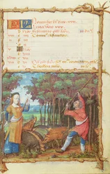 Ms 438 De Maand November: Eikels Verzamelen, uit een Getijdenboek, 1490
