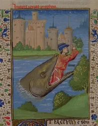 Jona en de walvis, uit de Bijbel van Jean XXII