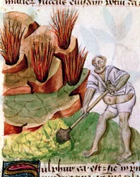 Ms Lat 993 L.9.28 f.123v Op zoek naar Zwavel, uit Dioscorides De Herbis