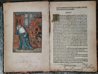 Pagina uit 