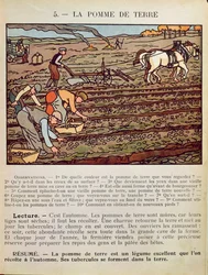 Pagina uit een schoolboek die de teelt van de aardappel illustreert