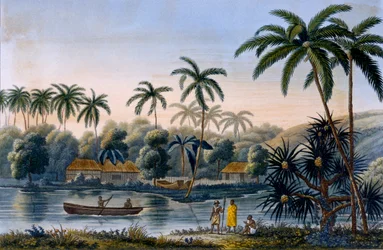 Deel van het dorp Matavae, kokospalmen en ander fruit, Tahiti, uit Voyage autour du Monde sur la Corvette Coquille door Luitenant Louis Isodore Duperrey, gepubliceerd 1826