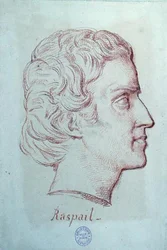 Portret van Francois Vincent Raspail (1794-1878)
