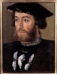 Portret van Guillaume de Bellay, heer van Langey (1491-1543)
