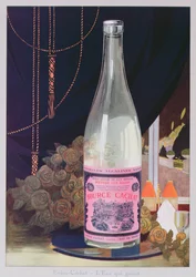 Ansichtkaart die Evian water van de Source Cachat adverteert, 1906