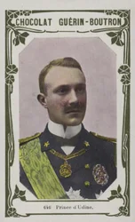 Prins van Udine