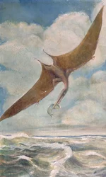 Pterodactylus aan het vissen