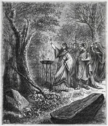 STRUFERTARI (feest in het oude Rome om de verwoeste bomen te zuiveren) - Gravure in 