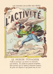 De activiteit. De passagiersduif ca. 1900