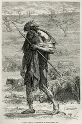 De Australische herder, gegraveerd naar een tekening van D.Maillart, ter illustratie van het verhaal zes maanden in Australië, door Desire Charnay, een missieopdracht door het Ministerie van Openbaar Onderwijs, in 1878, gepubliceerd in le tour du monde, on