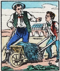 De tuinder. Gravure in 